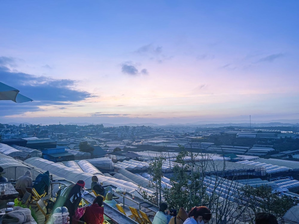 Hàng ngàn nhà kính trồng hoa xếp liền sát nhau 